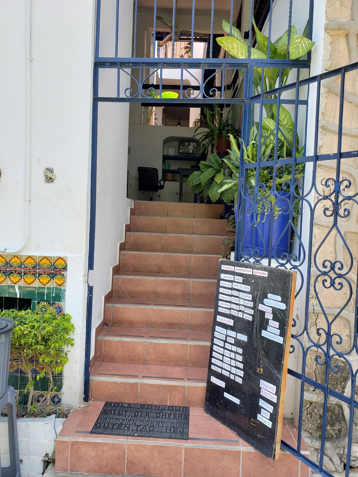 Interior staircase with a blue railing and plants at MayFlower Hotel & Hostal